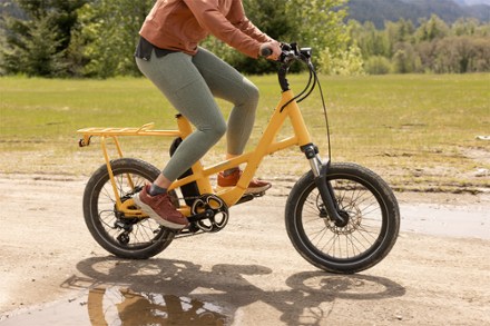 Rei discount cargo bike