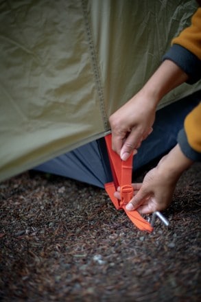 Location Image of color Forest Floor