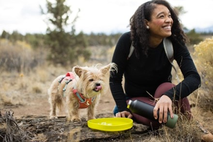 Ruffwear Camp Flyer Toy 3