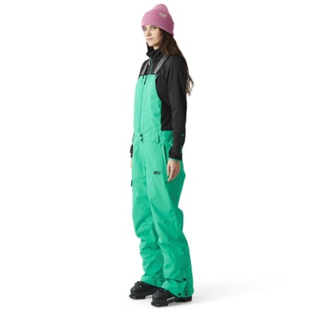 Picture Organic Clothing Brita Bib Snow Pants - Women's 4