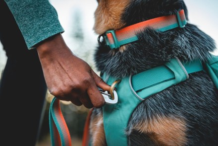 Dog Backpacks for Hiking Backpacking REI Co op