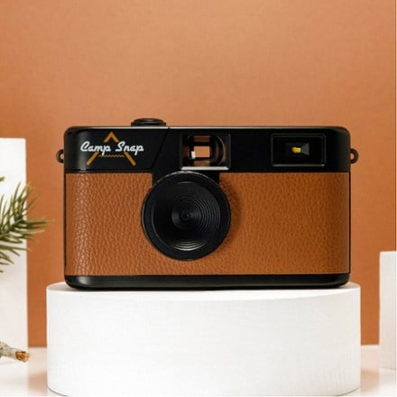 Location Image of color Chestnut Brown