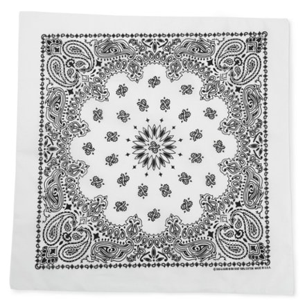 Carolina Mfg. Paisley Bandana 0