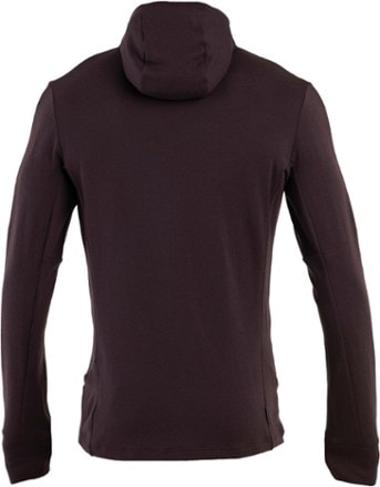 Icebreaker Merino 260 Quantum Long-Sleeve Zip Hoodie - Men's 1