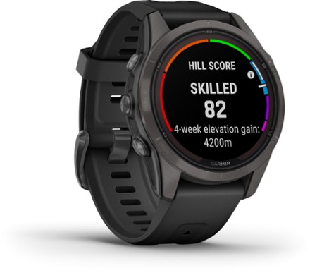 Garmin Fenix REI Co op