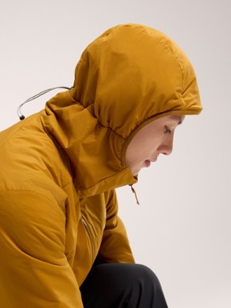 Arc'teryx Atom Insulated Hoodie - Men's 9