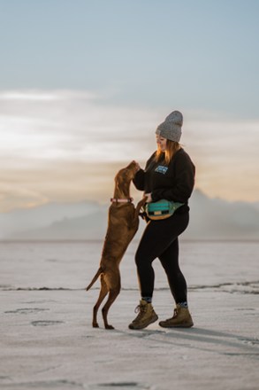 Wilderdog Dog Walking Utility Pack 3