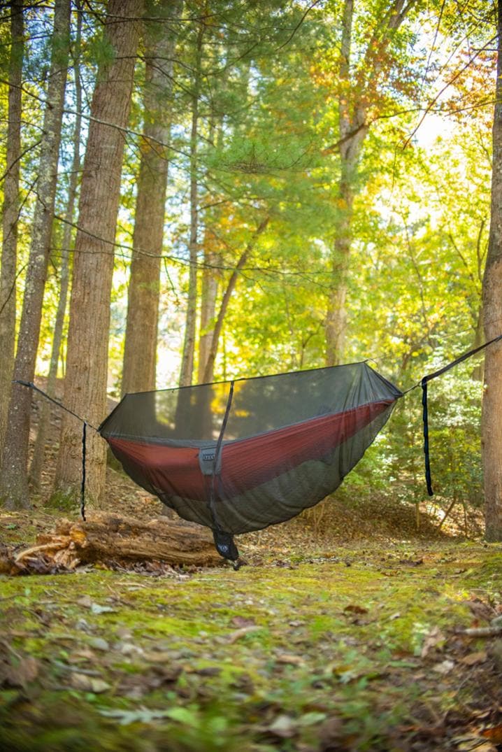 Location Image for Guardian Bug Net