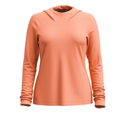 Smartwool Active Ultralite Hoodie - Women's 0