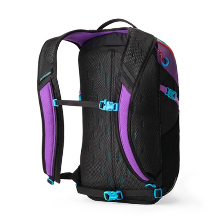 Gregory Nano 24 Daypack 1