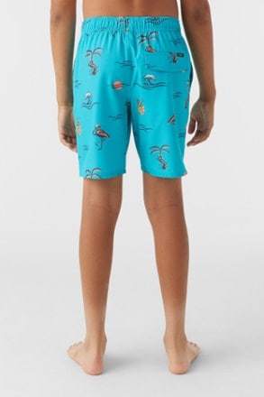 O'Neill Hermosa Crew 16" Swim Trunks - Kids' 2