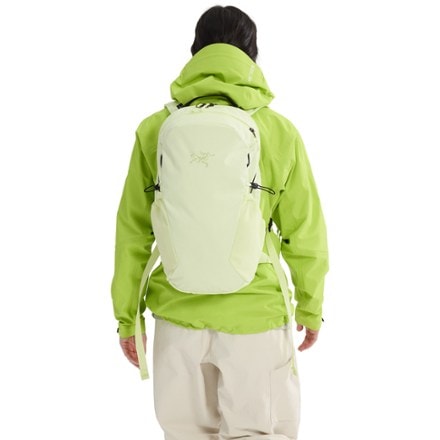 Arc'teryx Mantis 16 Pack 7