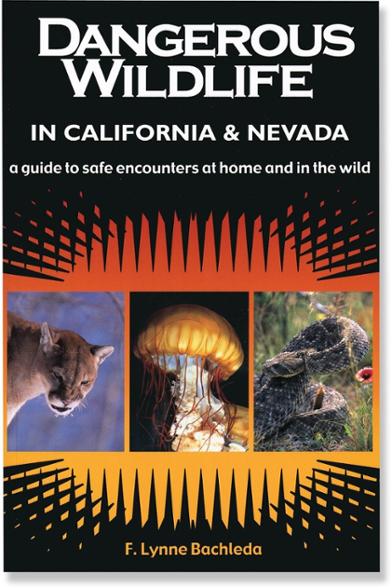 Product Image of color