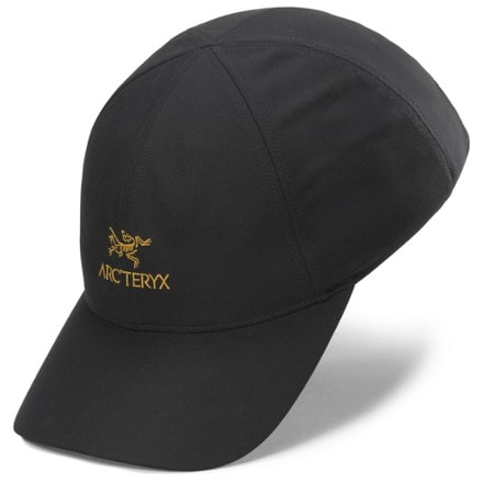 Arc'teryx Bird Word Cap 3