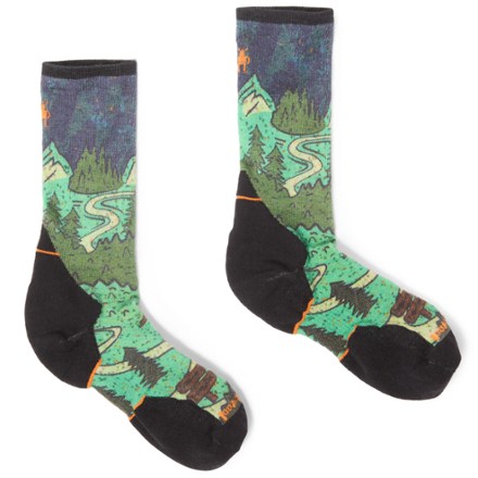 Smartwool Trail Run Targeted Cushion Neature Print Crew Socks - Men's 1