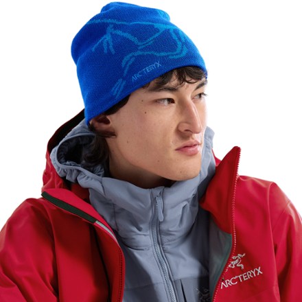 Arc'teryx Bird Head Toque Beanie 3