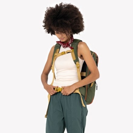 Sherpani Santiago 35 L Travel Pack 2