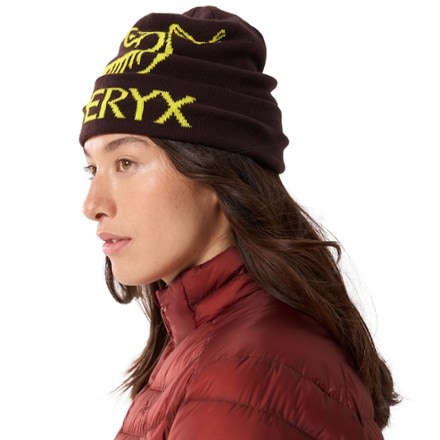 Arc'teryx Bird Word Toque 3