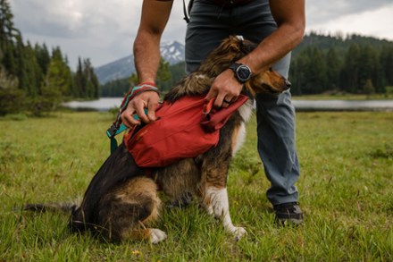 Rei store dog backpack