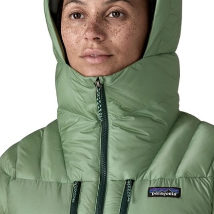 Patagonia Fitz Roy Down Hoody - Women's 6