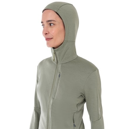 Icebreaker Merino 260 Quantum Long-Sleeve Zip Hoodie - Women's 3