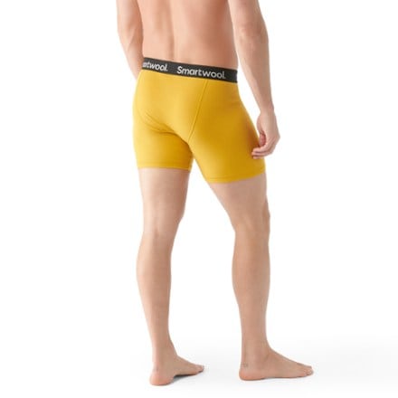 Smartwool Merino Boxer Briefs - Men's 1