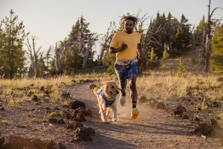 Ruffwear Trail Runner Belt 5