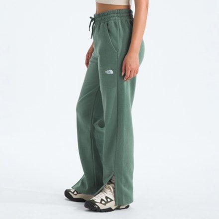 The North Face Evolution Pants - Women's 3