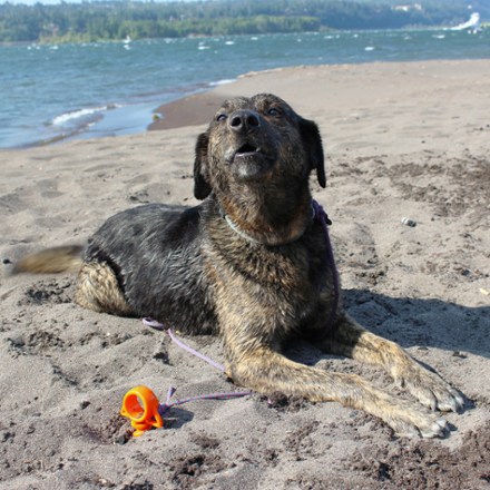 Nite Ize Orange Screw Ultimate Ground Anchors - Large - Package of 2 4