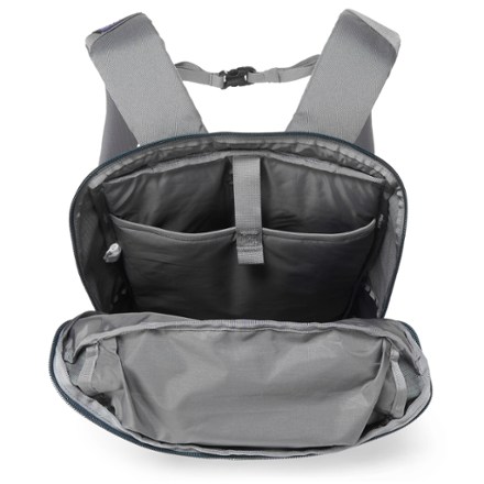 Patagonia Black Hole Pack - 25 L 3