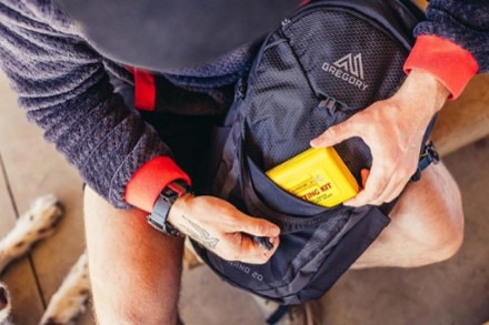 Gregory Nano 20 Pack 2