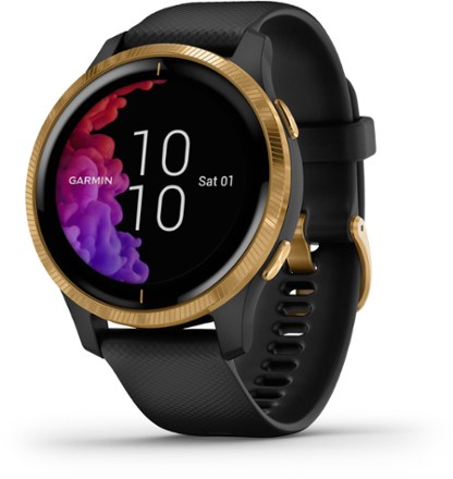 garmin smartwatch gold