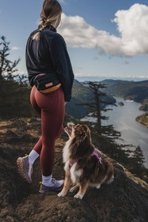 Wilderdog Dog Walking Utility Pack 1
