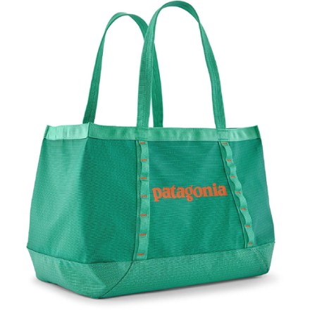 Patagonia Black Hole Tote Bag 25 L 0