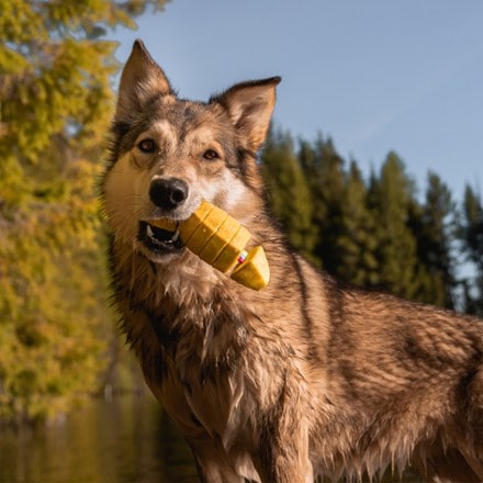 Bark Doggone Fishin' Super Chewer Dog Toy 4