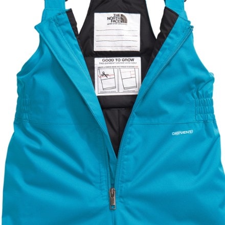 The North Face Freedom Insulated Bib Snow Pants - Toddlers' 5