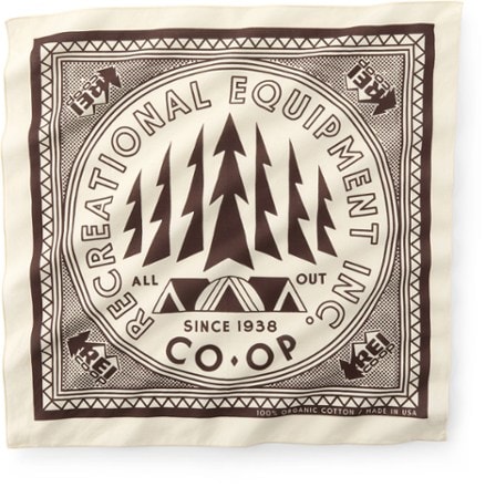 REI Co-op Graphic Bandana 0