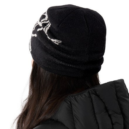 Arc'teryx Bird Head Toque Beanie 2