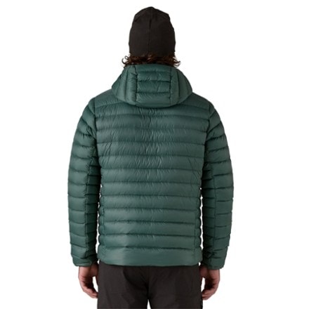 Patagonia Down Sweater Hoody - Men's 2