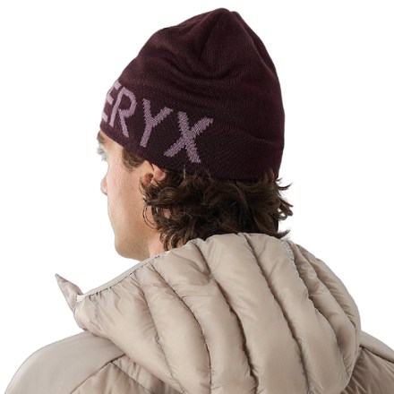 Arc'teryx Word Head Toque 2