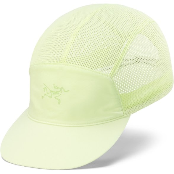 Product Image of color Shincha