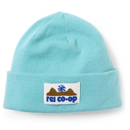 REI Co-op Graphic Cuff Beanie 0