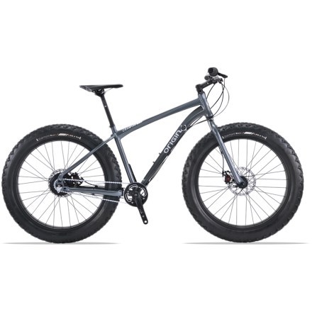 rei fat tire bike