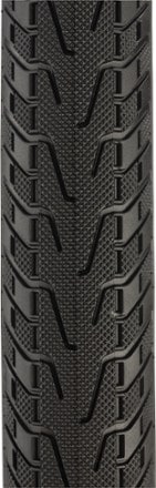 Panaracer Pasela ProTite Tire 1