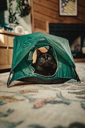 Tiny Tents Tiny Tent 5