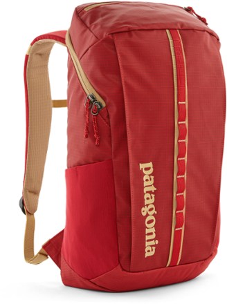 Patagonia computer backpack hot sale