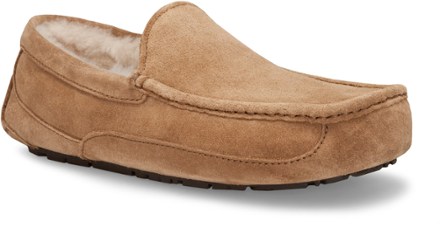 ugg ascot chestnut