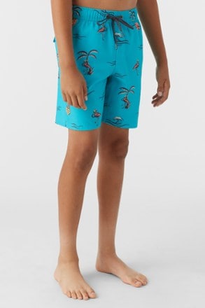 O'Neill Hermosa Crew 16" Swim Trunks - Kids' 3