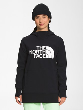 The North Face Tekno Logo Hoodie - Women's 0