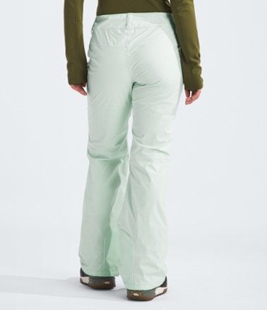 The North Face Freedom Stretch Pants - Women's 2